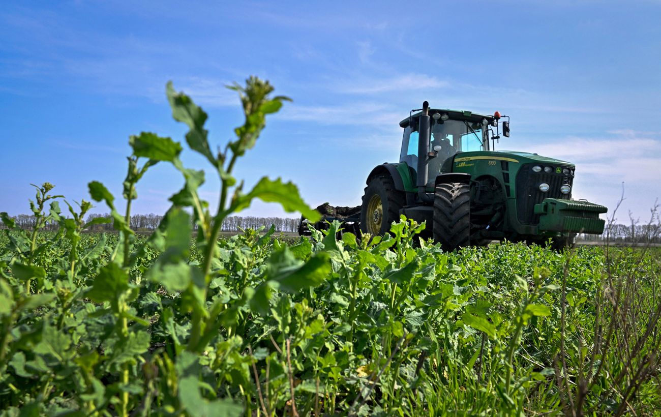Українські фермери продавали врожай з радіоактивних земель, - ОГП