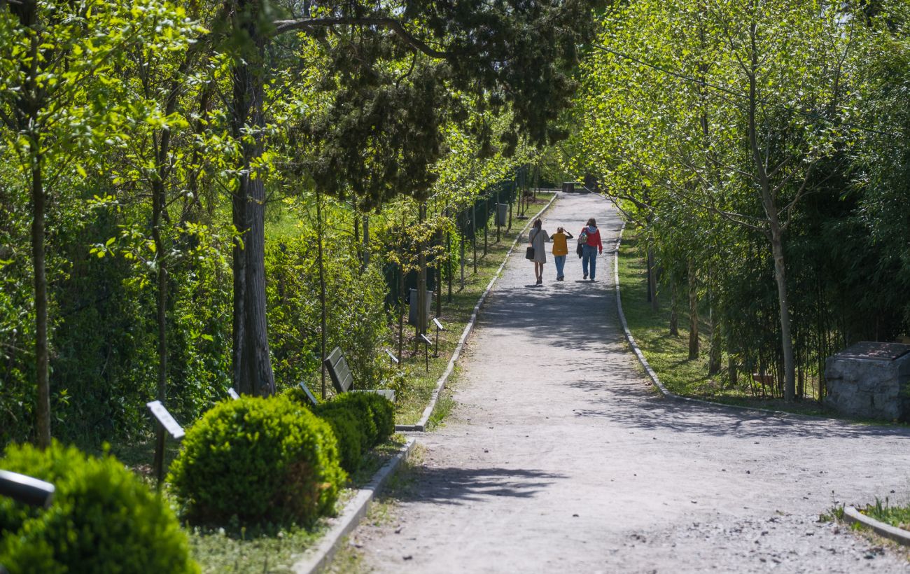 Після похолодання й дощів в Україну знову прийде тепло: коли чекати сонця