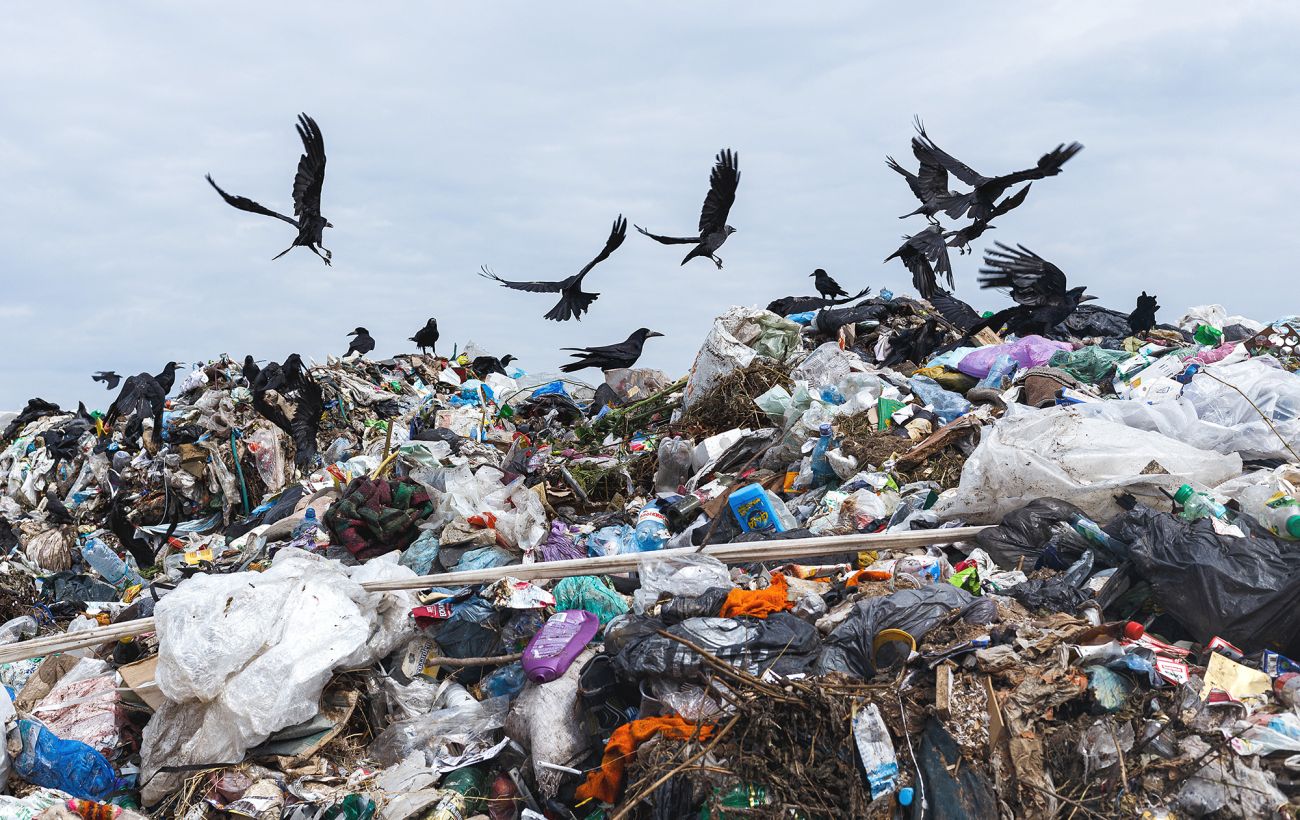 Російські регіони потопають у смітті: чому виник колапс