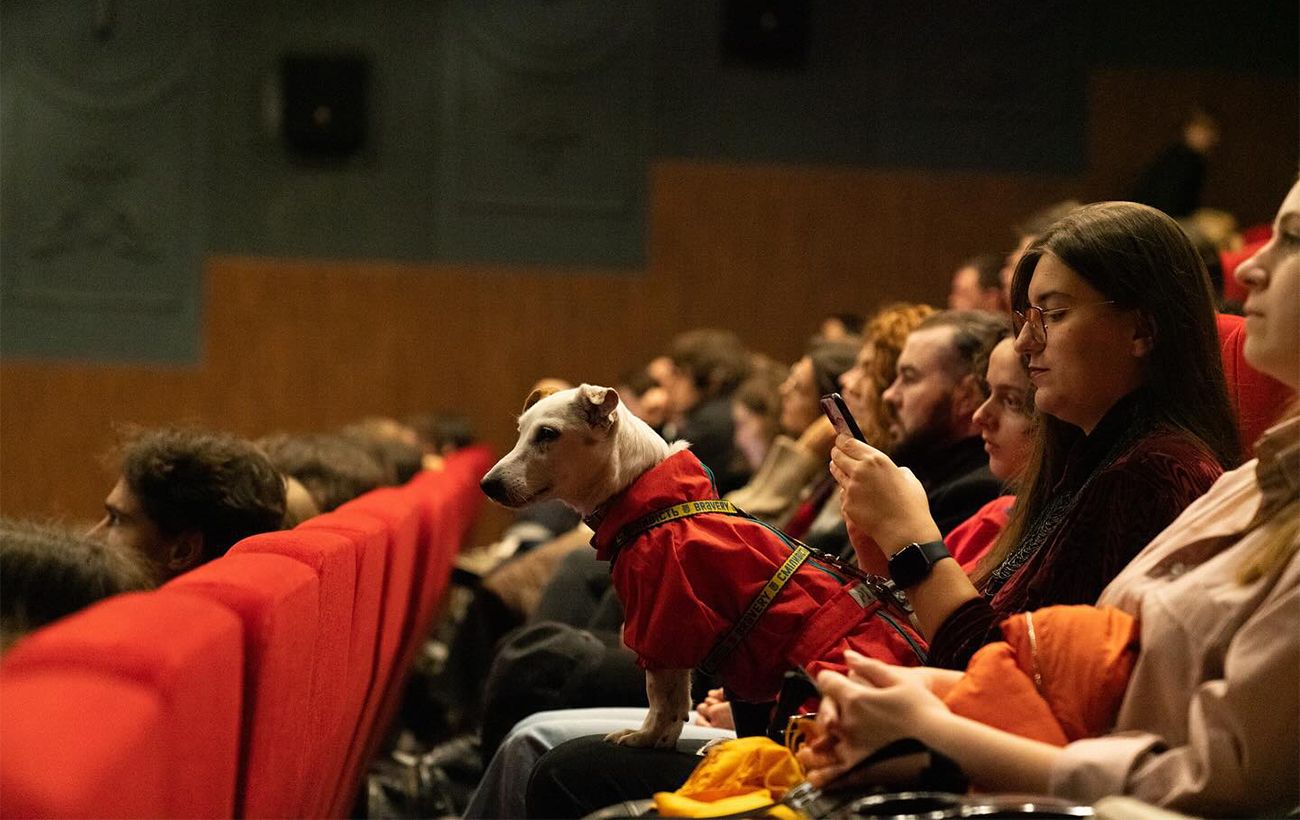 Київський тиждень критики: повна програма показів і подій