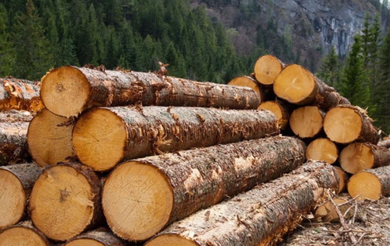 Україна заборонила експорт необробленої деревини