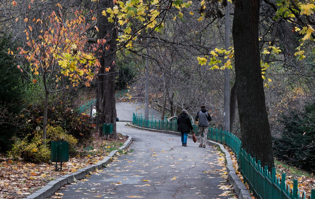 Нетипово теплий кінець осені: якою буде погода в Україні 26 листопада
