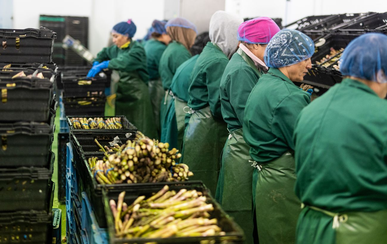 Робота у Польщі для українців: які вакансії пропонують і кого шукатимуть у 2026 році