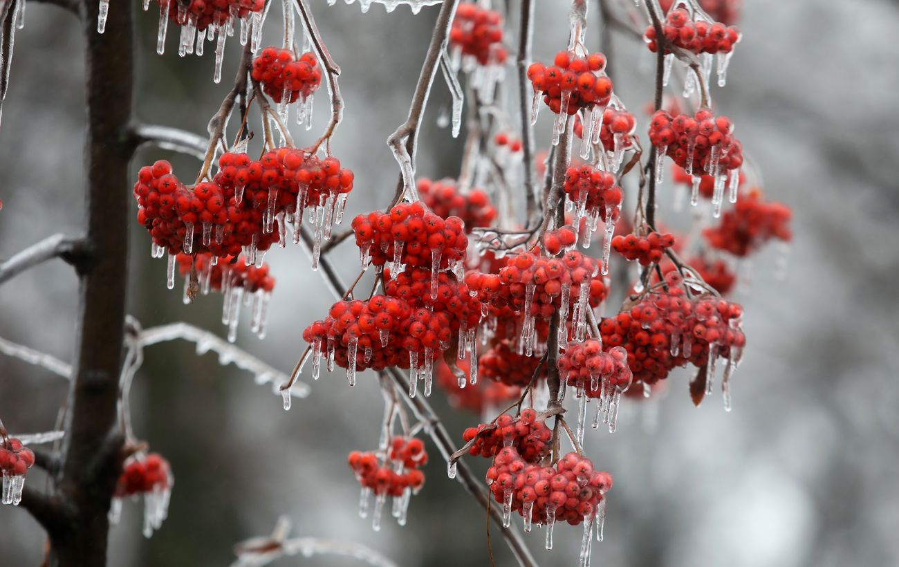 Єдиний теплий день перед різким похолоданням: прогноз погоди на завтра