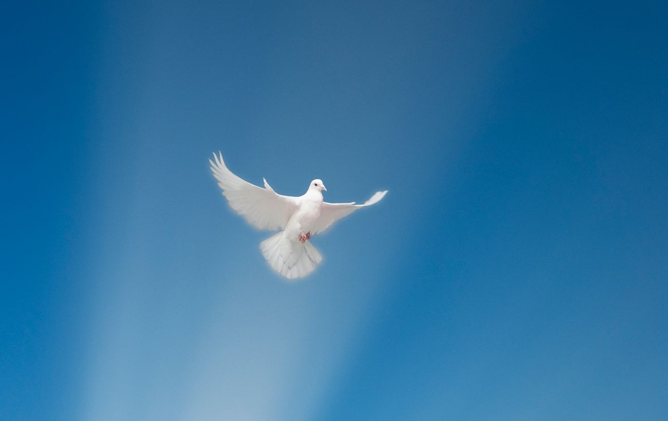 Чого просити у Бога 2 лютого? Молитви на Стрітення, що мають чудодійну силу