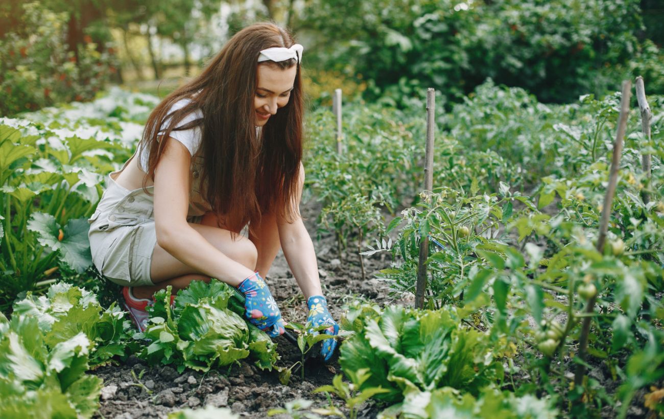 Календар городника на квітень 2026: коли сіяти, а коли взагалі не підходити до грядки