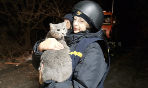 У Краматорську з-під завалів врятували кота – відео, фото